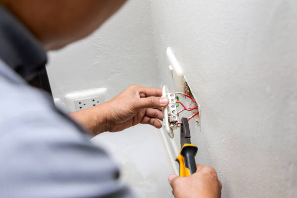 Best Electric Panel Repair  in Mount Hope, WV